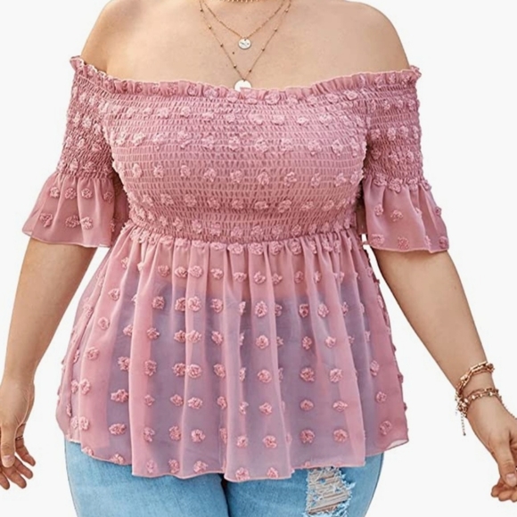 Off the sholder sheer top - Picture 1 of 1